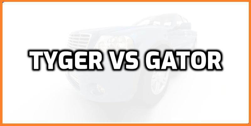 Tyger vs Gator